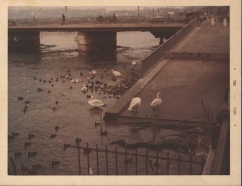 Original Objeto digital not accessible