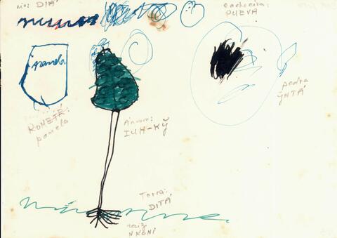 Original Digital object not accessible